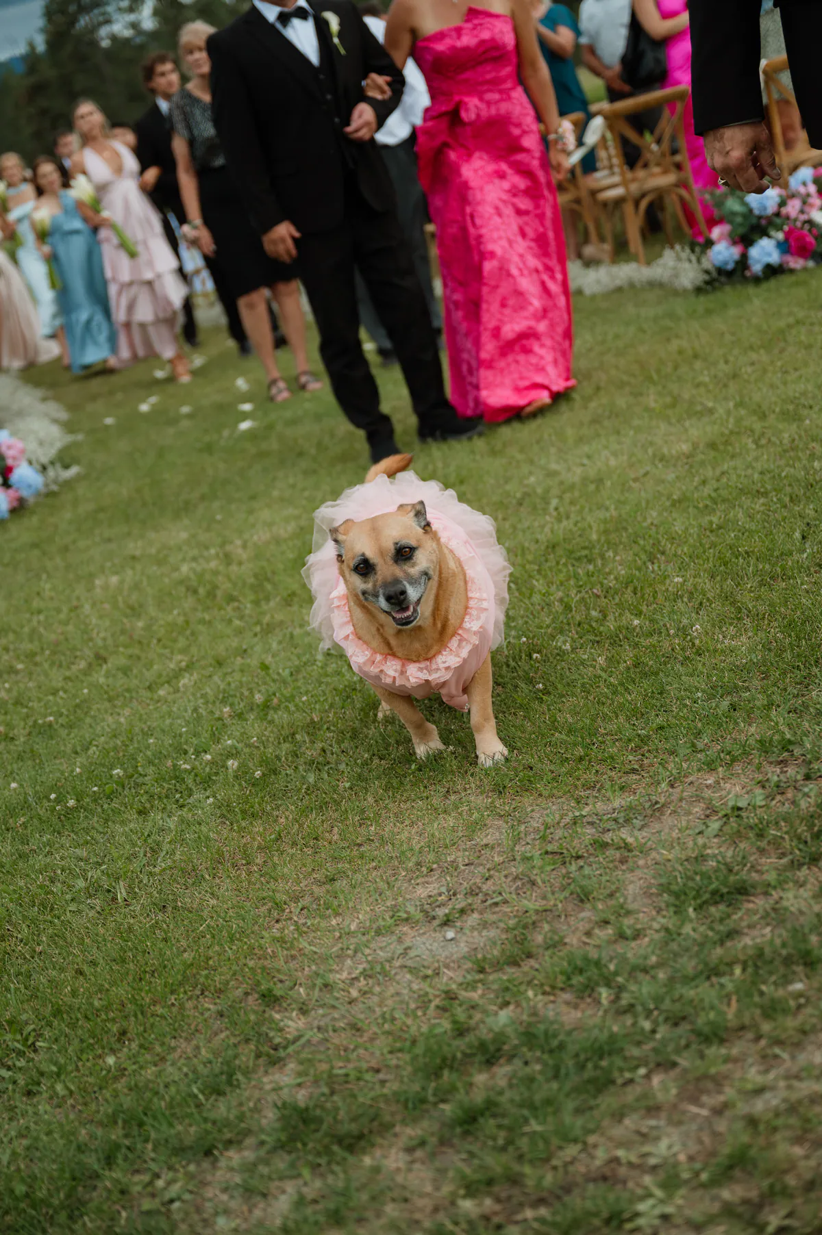 Wedding at Stonehaven Estate